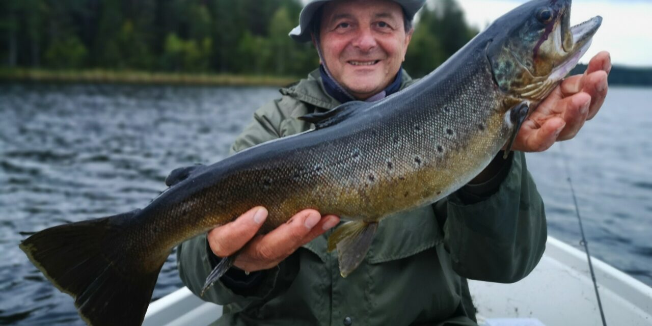 trota Lago 23