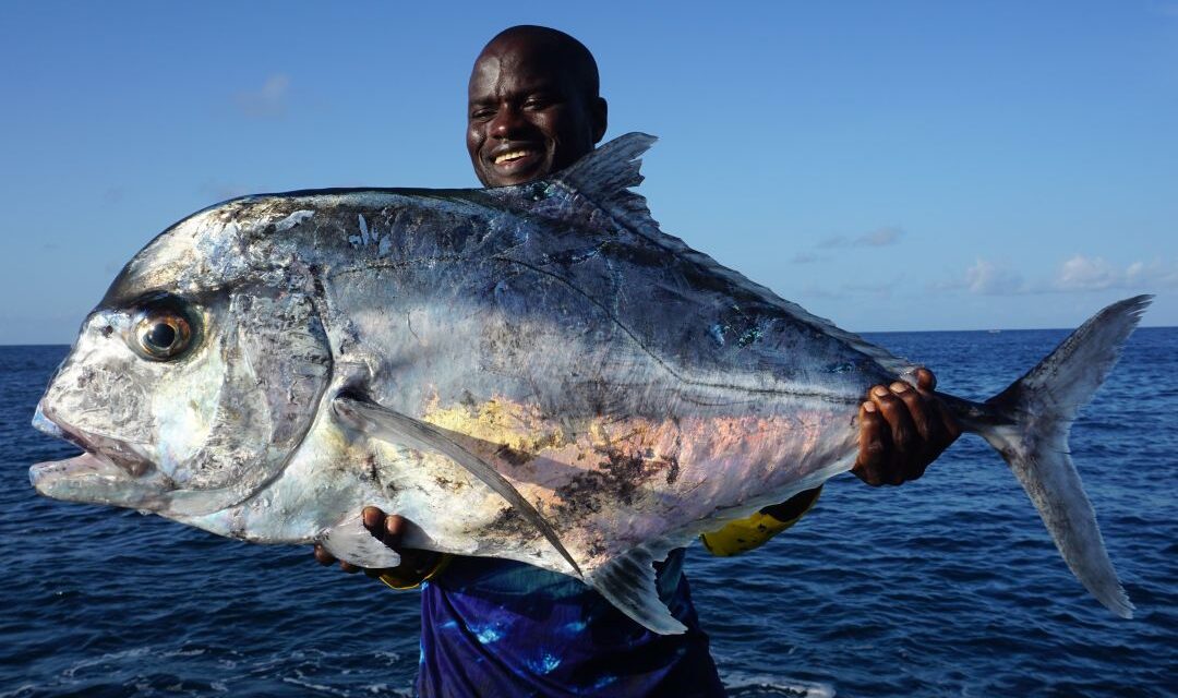 sal 26