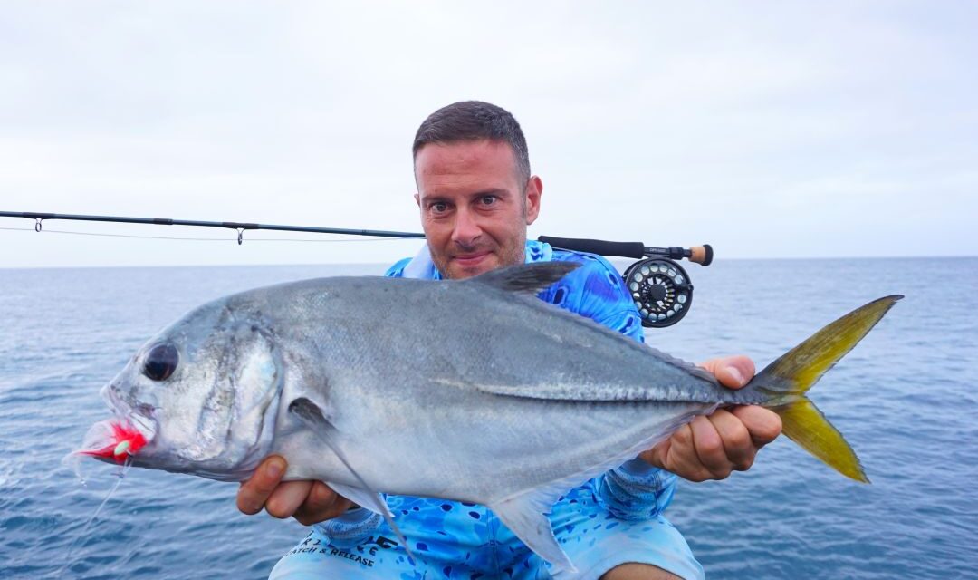 sal 31